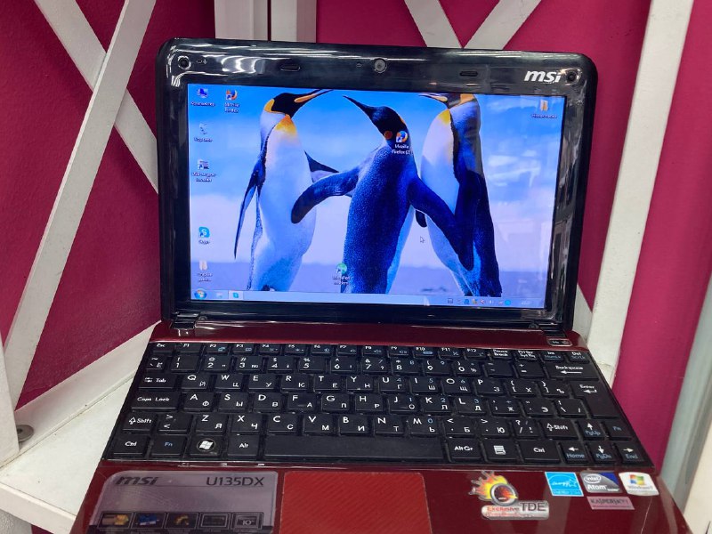 Нетбук MSI U135DX