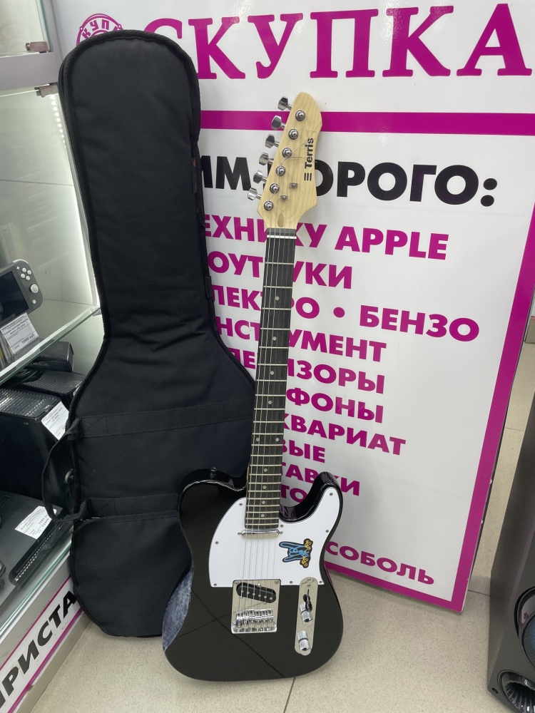Электрогитара  TERRIS
