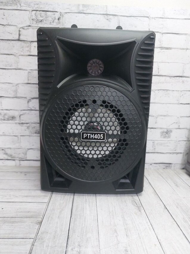 Акустика Bluetooth PTH405