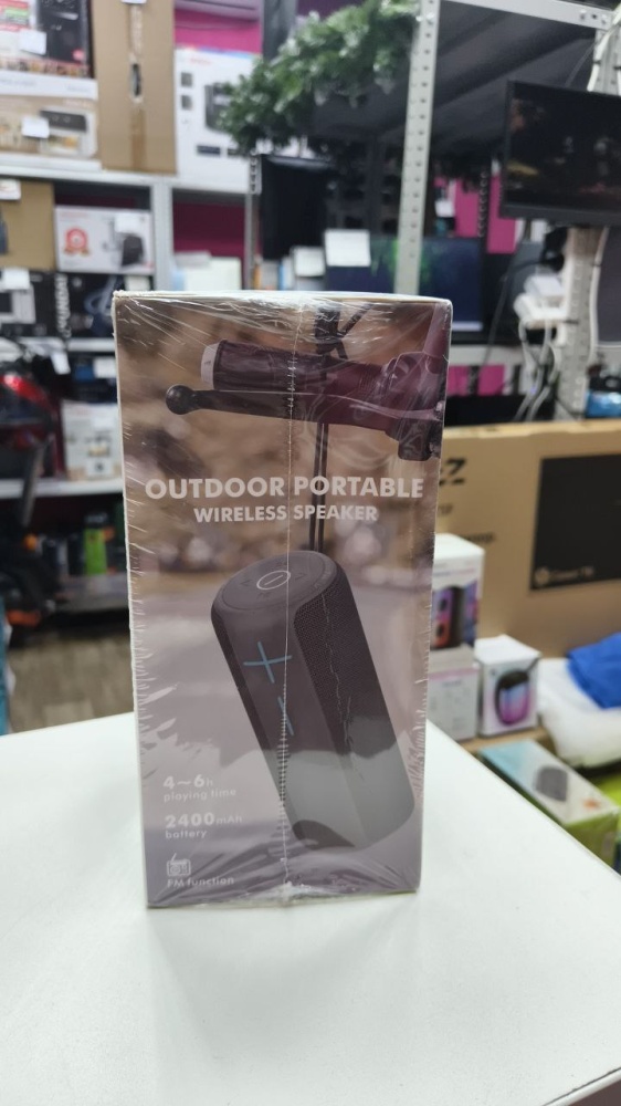 Акустика HopeStar P24