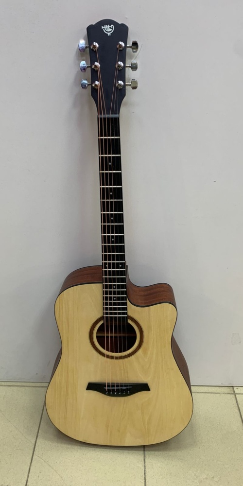 Гитара Rockdale Aurora D1