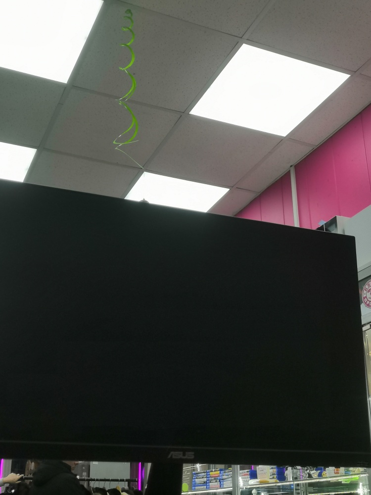 Монитор asus 24"