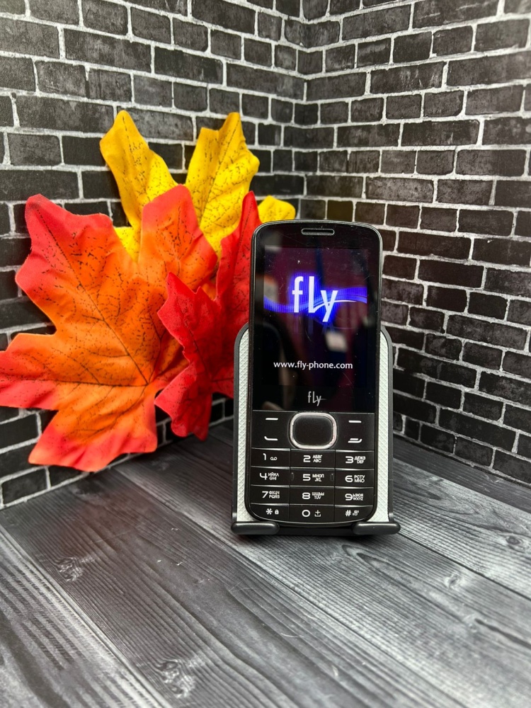 Мобильный телефон Fly TS111+ 3 sim