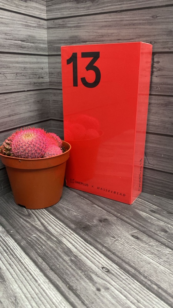 Смартфон OnePlus 13 16/512