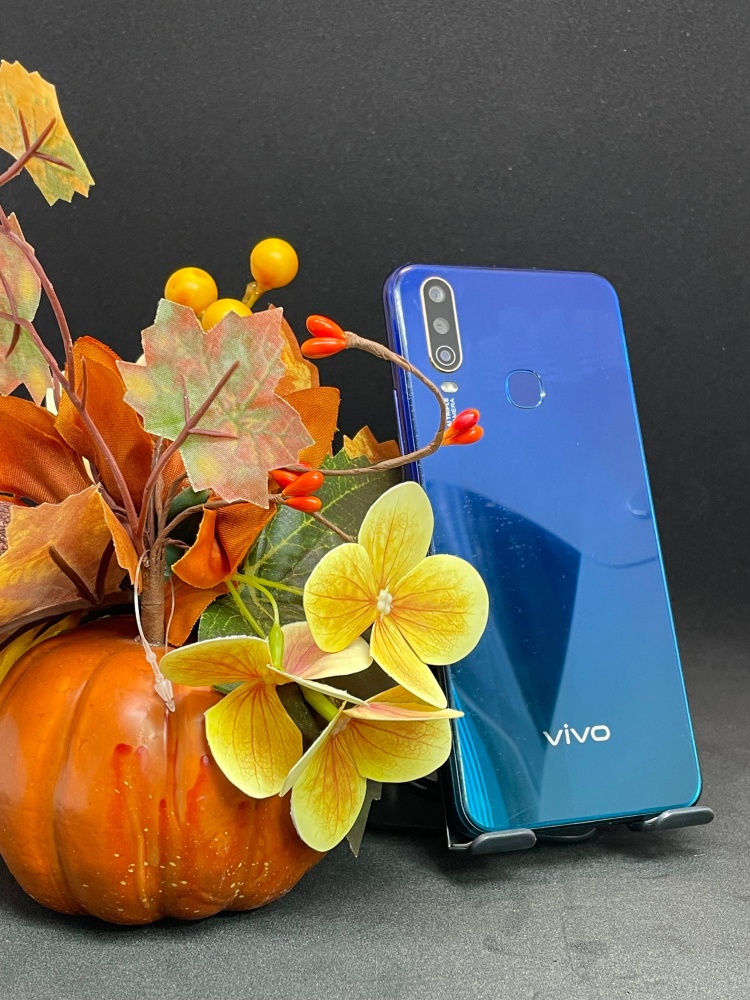 Смартфон Vivo Y12 3/64
