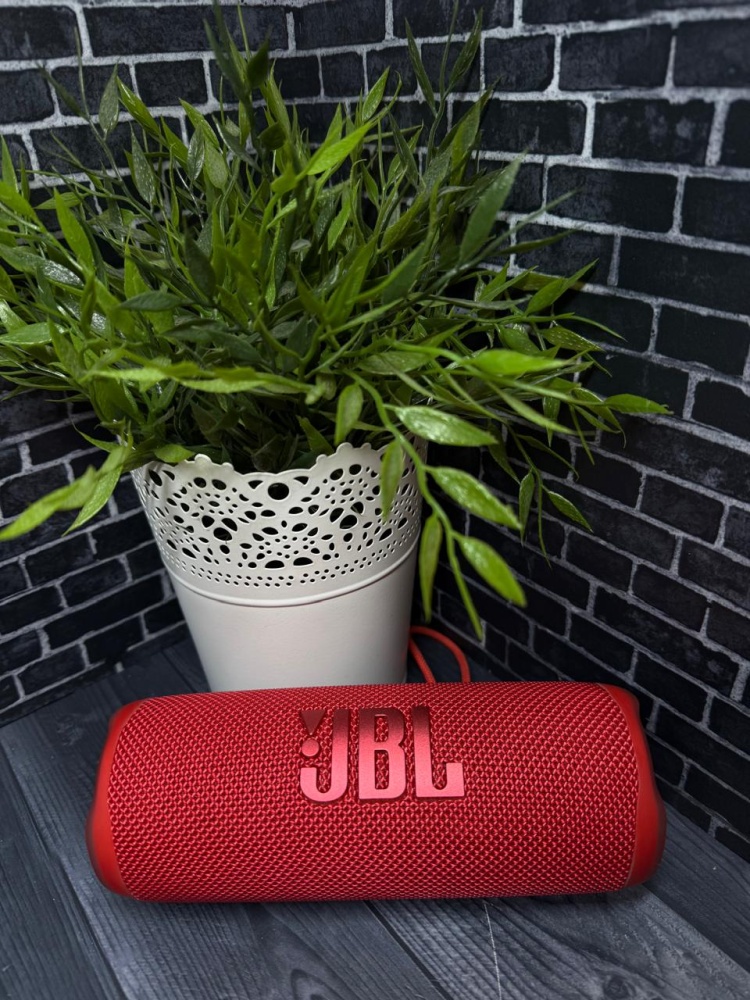Акустика JBL Flip 6